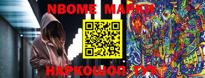 тгк Кингисепп