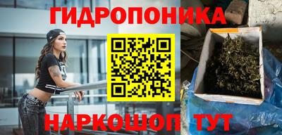 тгк Кингисепп