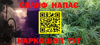 тгк Кингисепп