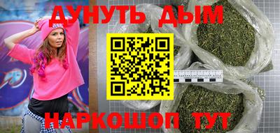 тгк Кингисепп