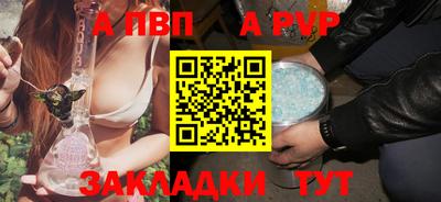 тгк Кингисепп