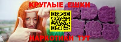 тгк Кингисепп