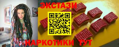 тгк Кингисепп