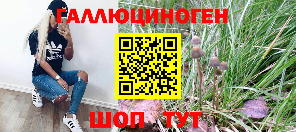 Галлюциногенные грибы Psilocybe Чебаркуль