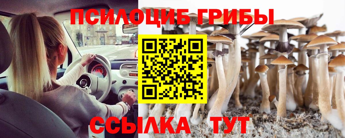 Чебаркуль  Галлюциногенные грибы Psilocybine cubensis  Вход с VPN  Галлюциногенные грибы Psilocybine cubensis 